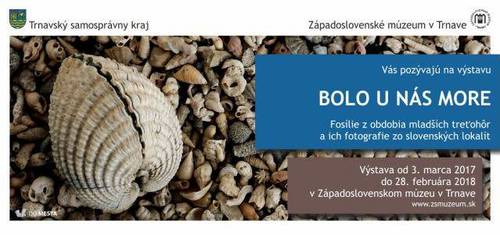 Plagát Bolo u nás more