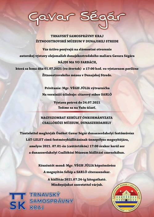 Plagát Gavar Ségár - Nájdi ma vo farbách