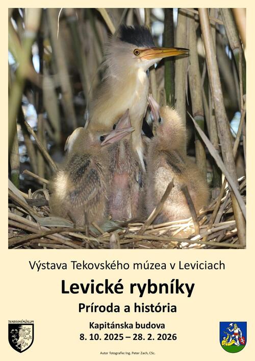 Plagát Levické rybníky - Príroda a história