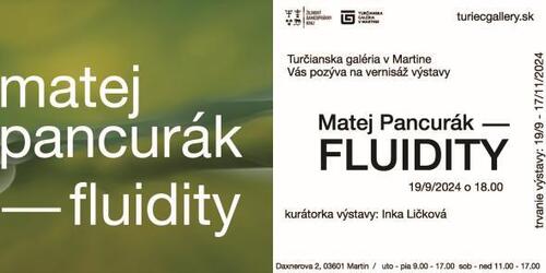 Plagát Matej Pancurák - Fluidity
