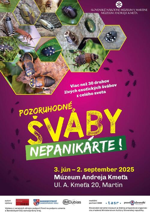 Plagát Pozoruhodné šváby – nepanikárte!