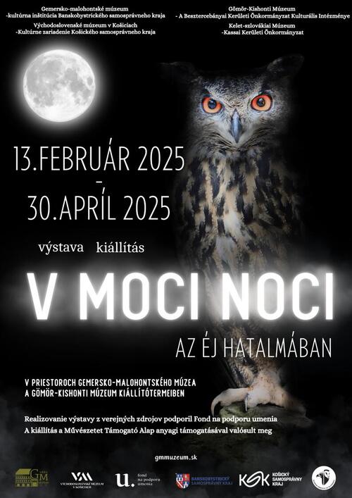 Plagát V moci noci
