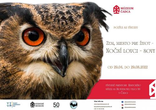 Plagát Zem, miesto pre život: Noční lovci – sovy