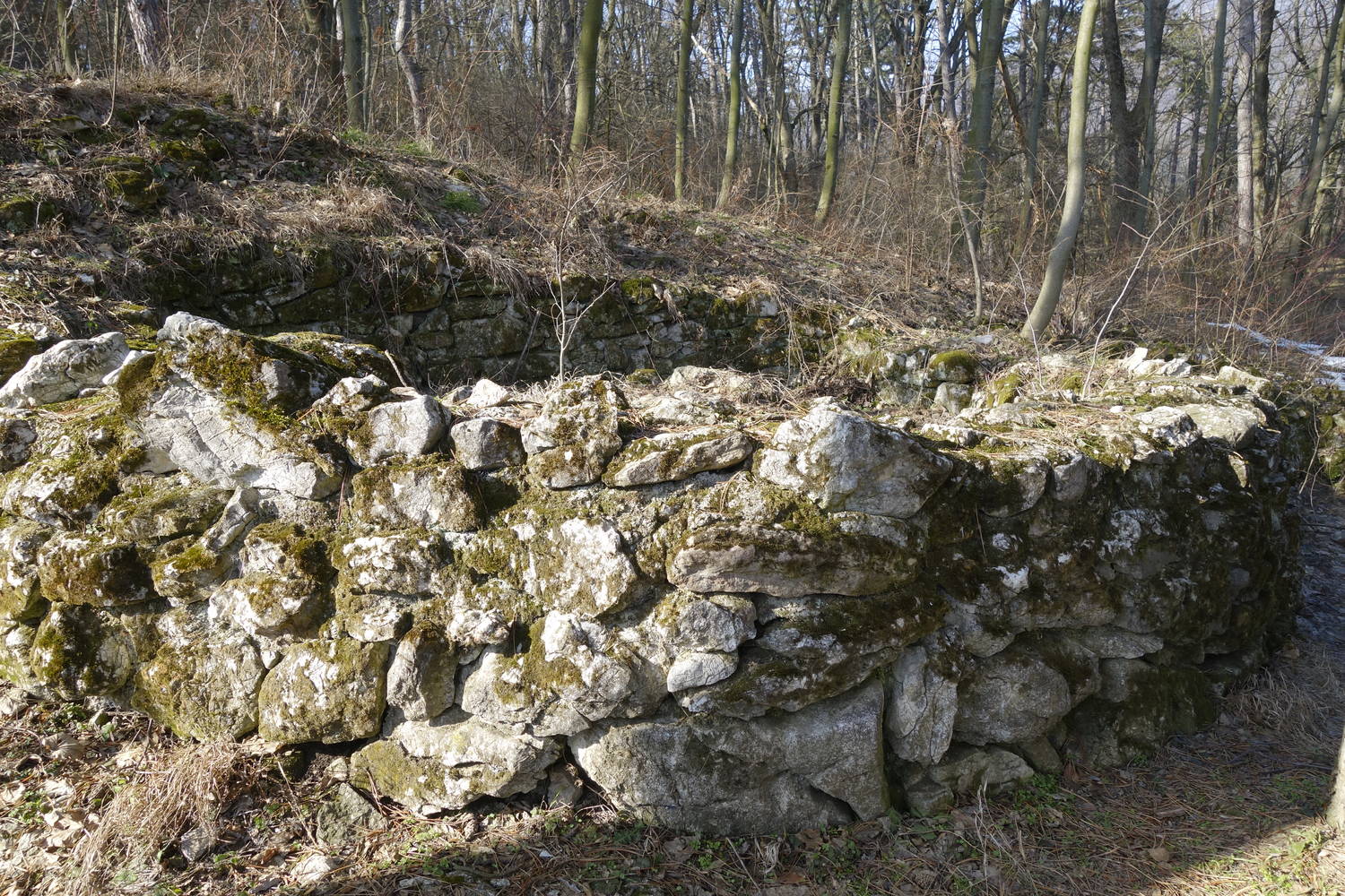 Hradisko Molpír