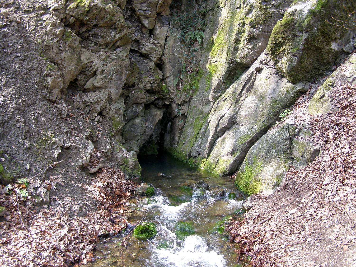 Limbašská vyvieračka