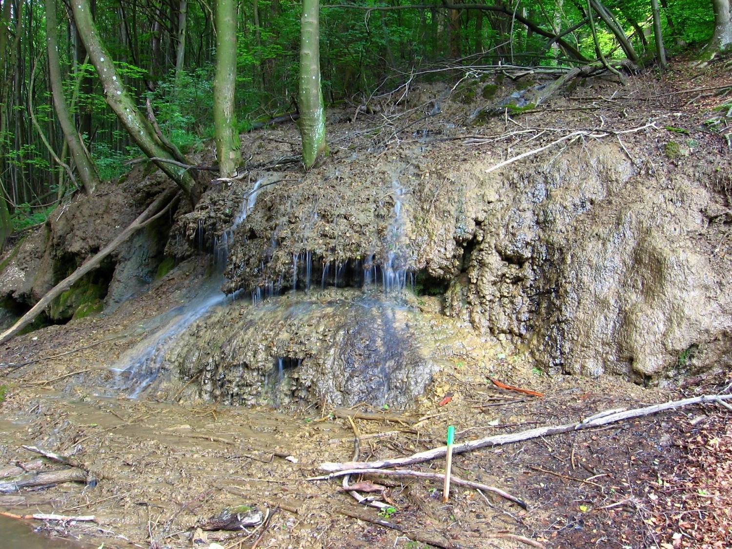 Dračia studňa