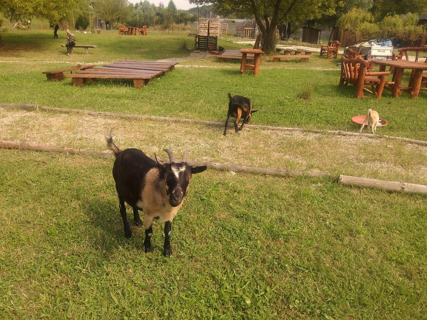 Sokoliareň minizoo Devín