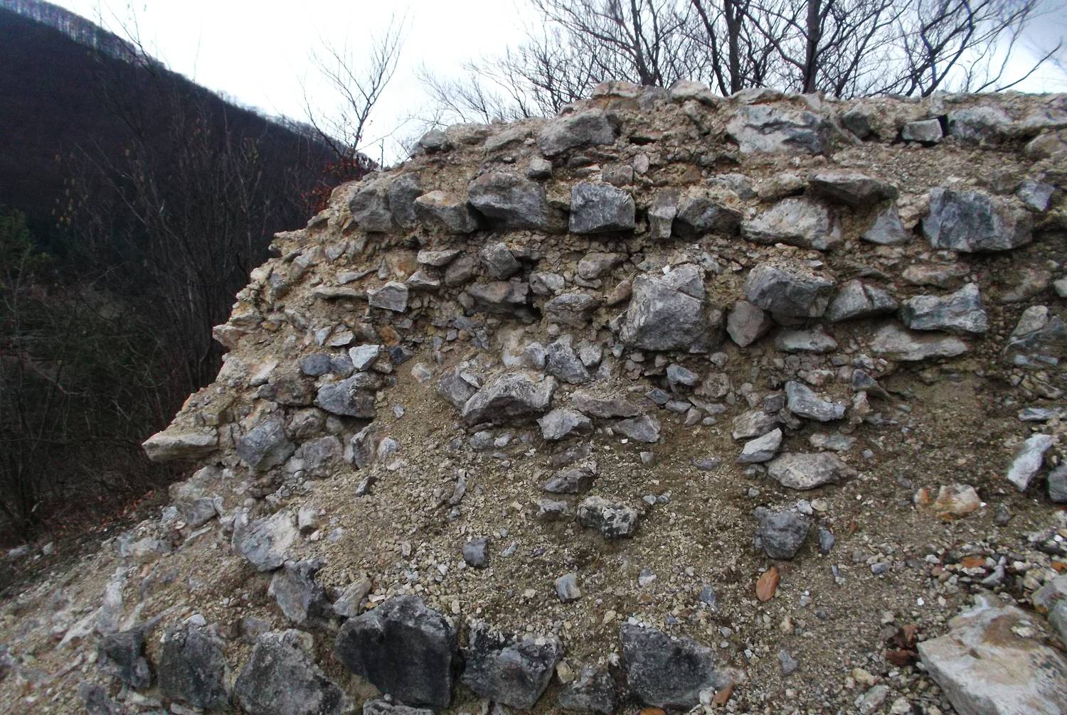 Hrad Košeca