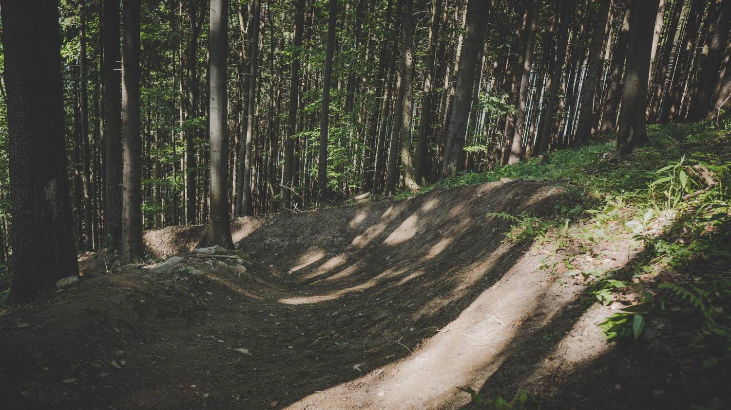 Bike park Vrátna Paseky