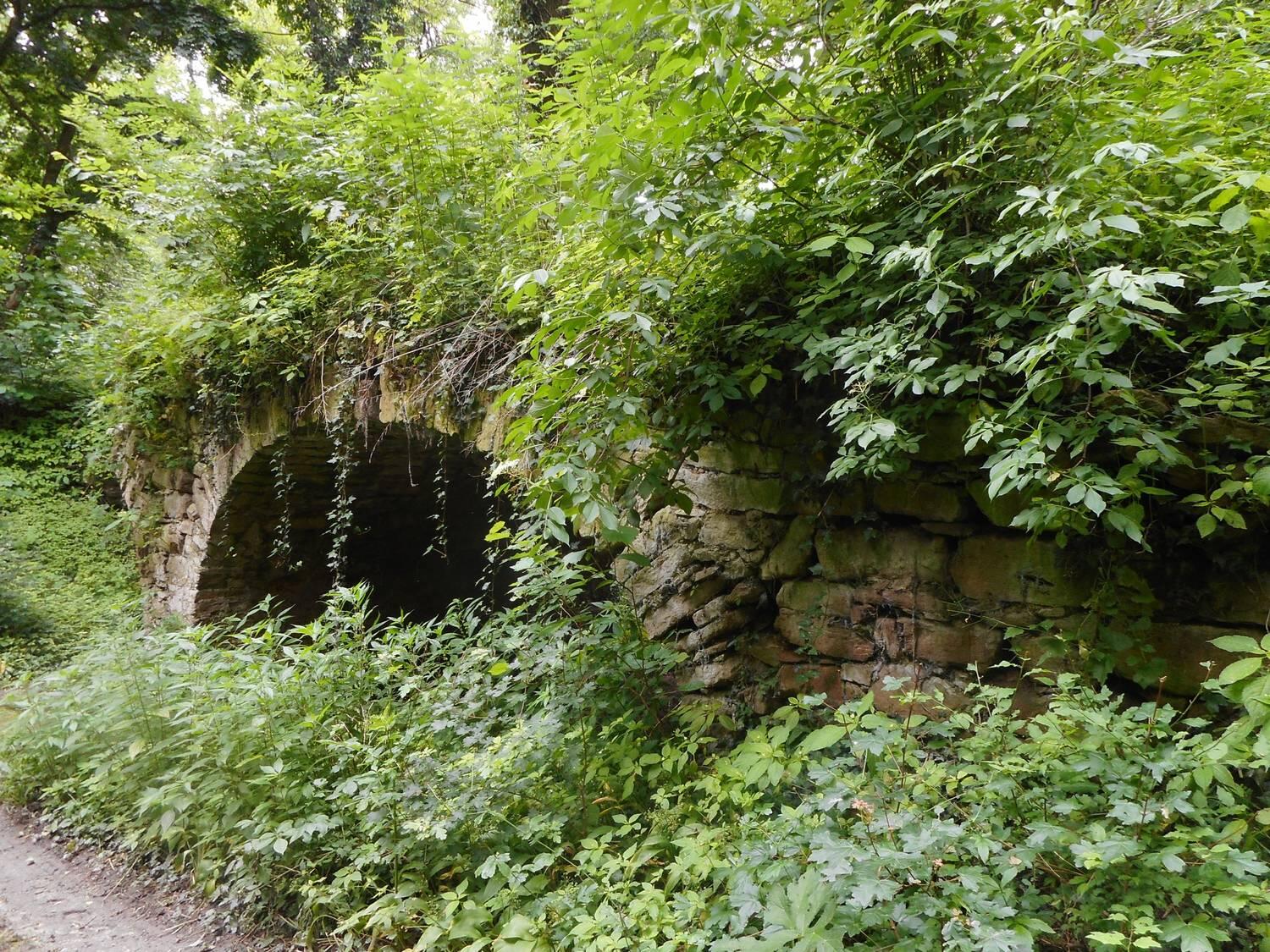 Jarovská bažantnica
