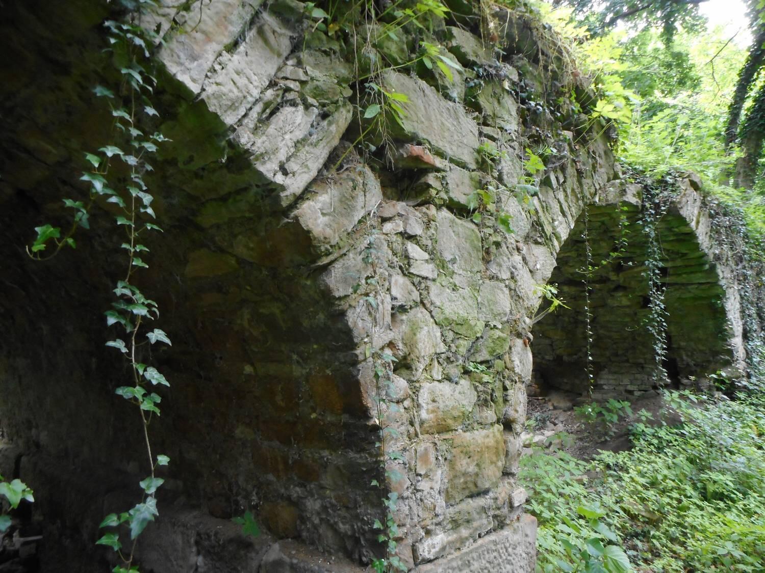 Jarovská bažantnica