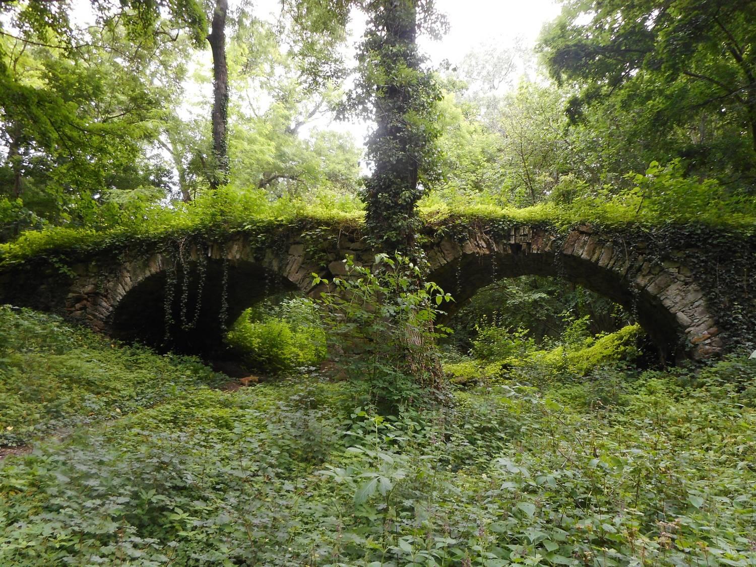 Jarovská bažantnica
