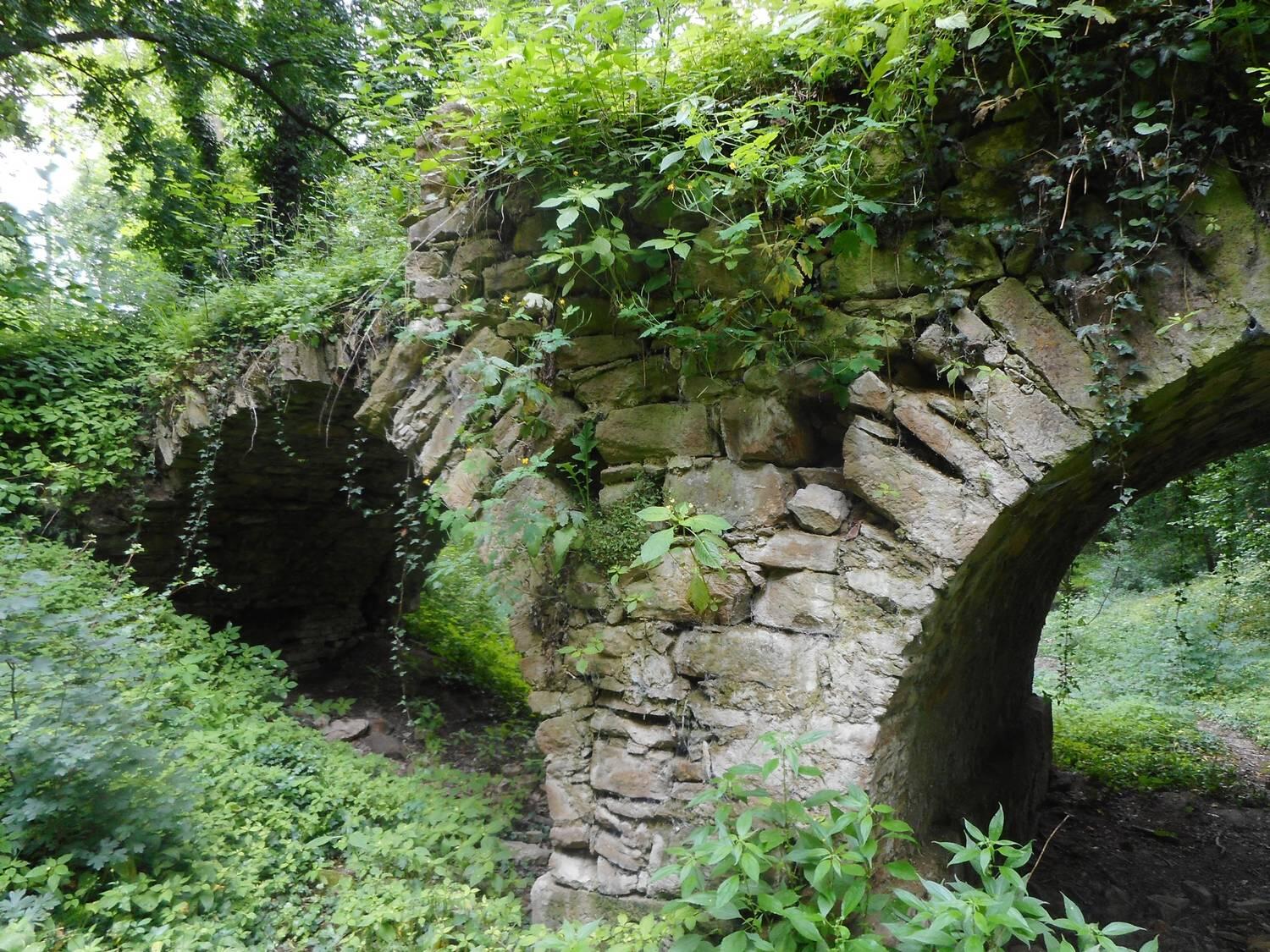 Jarovská bažantnica
