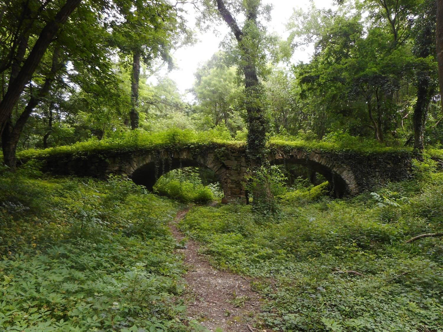 Jarovská bažantnica