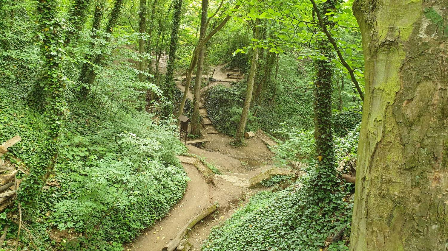 Haluzická tiesňava