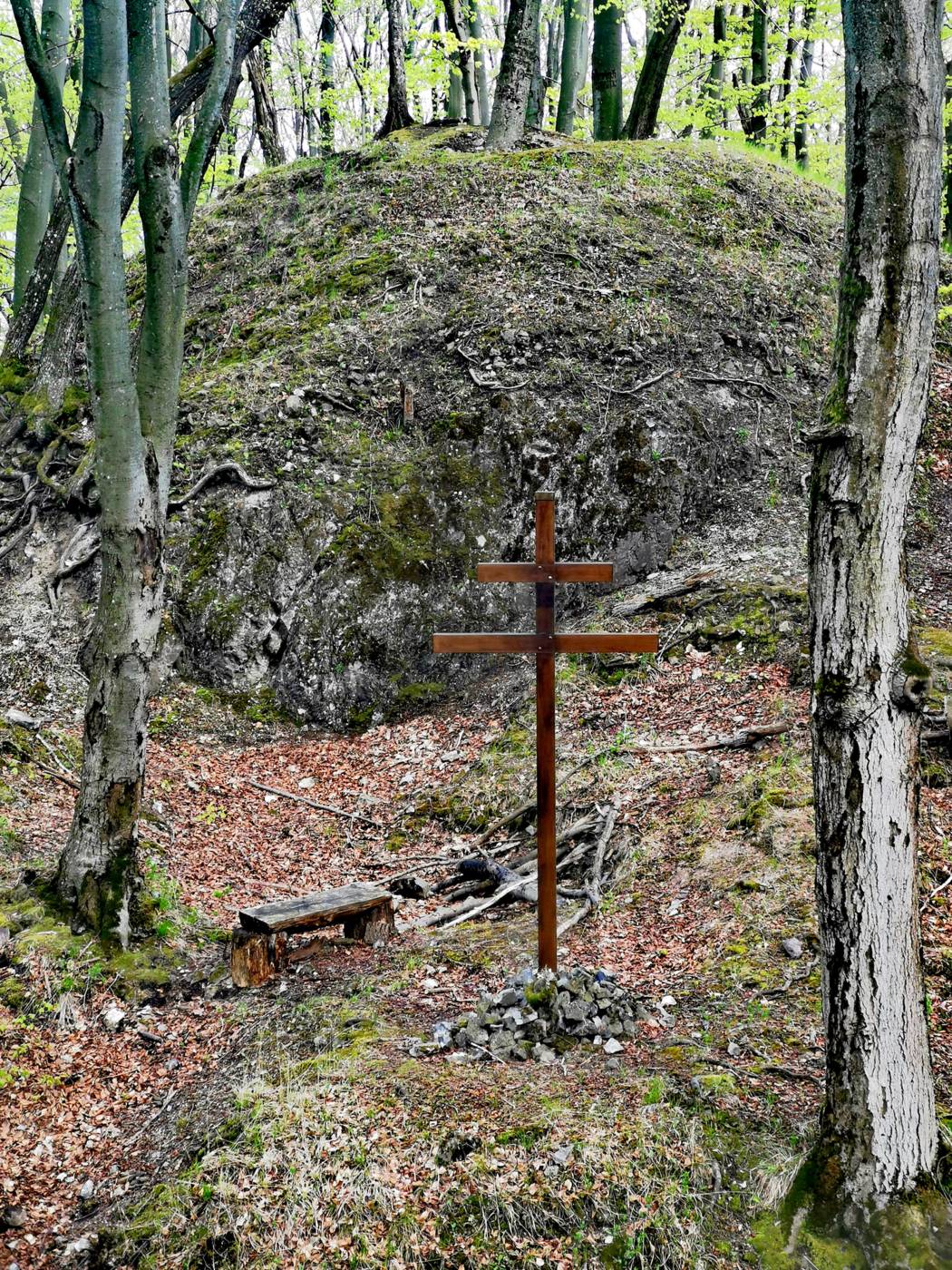 Hrad Sokoľ