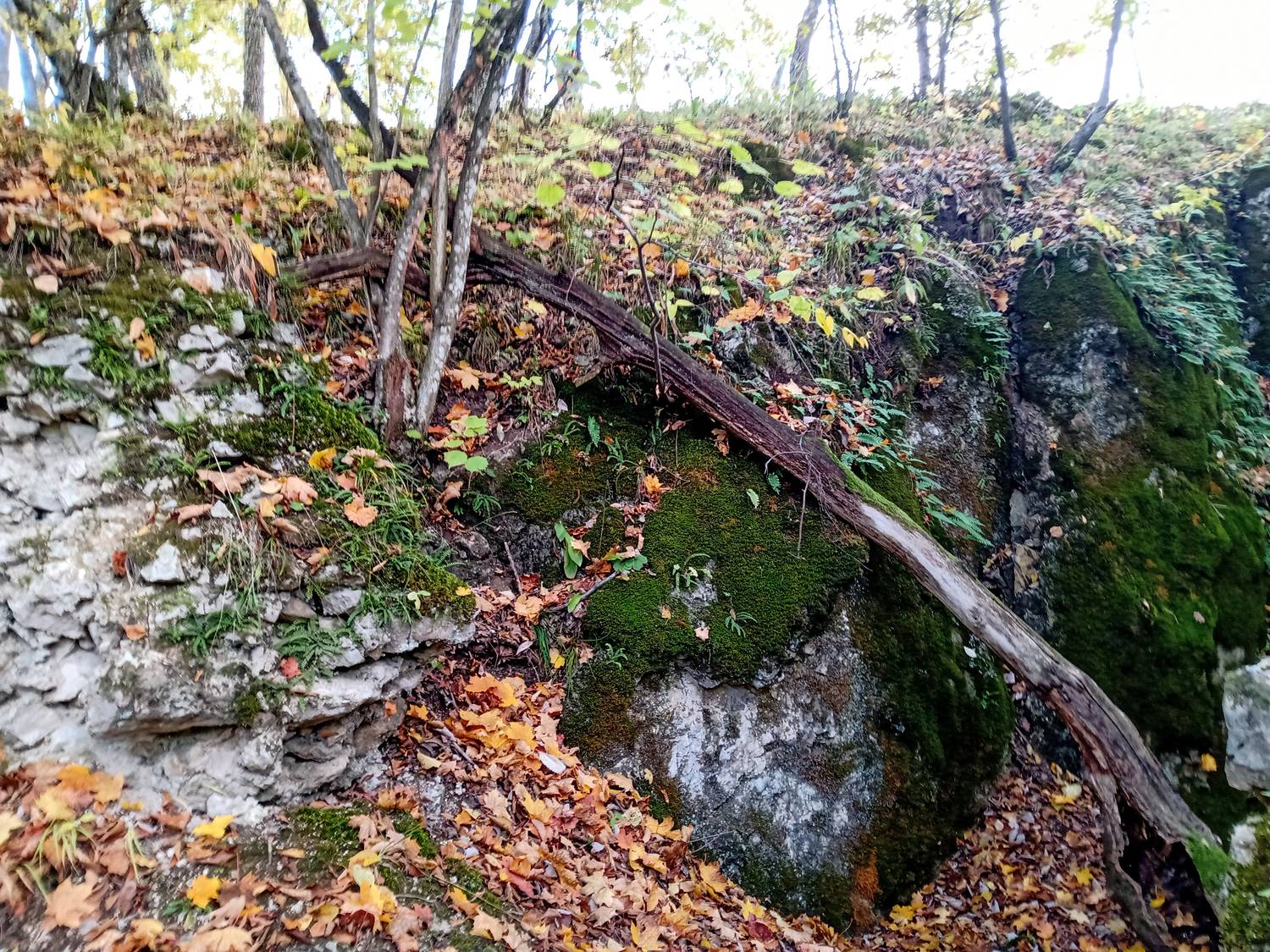 Hrad Sokolí kameň
