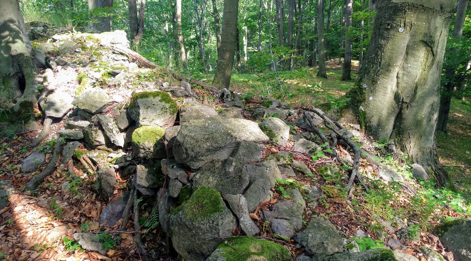 Hrad Braničev