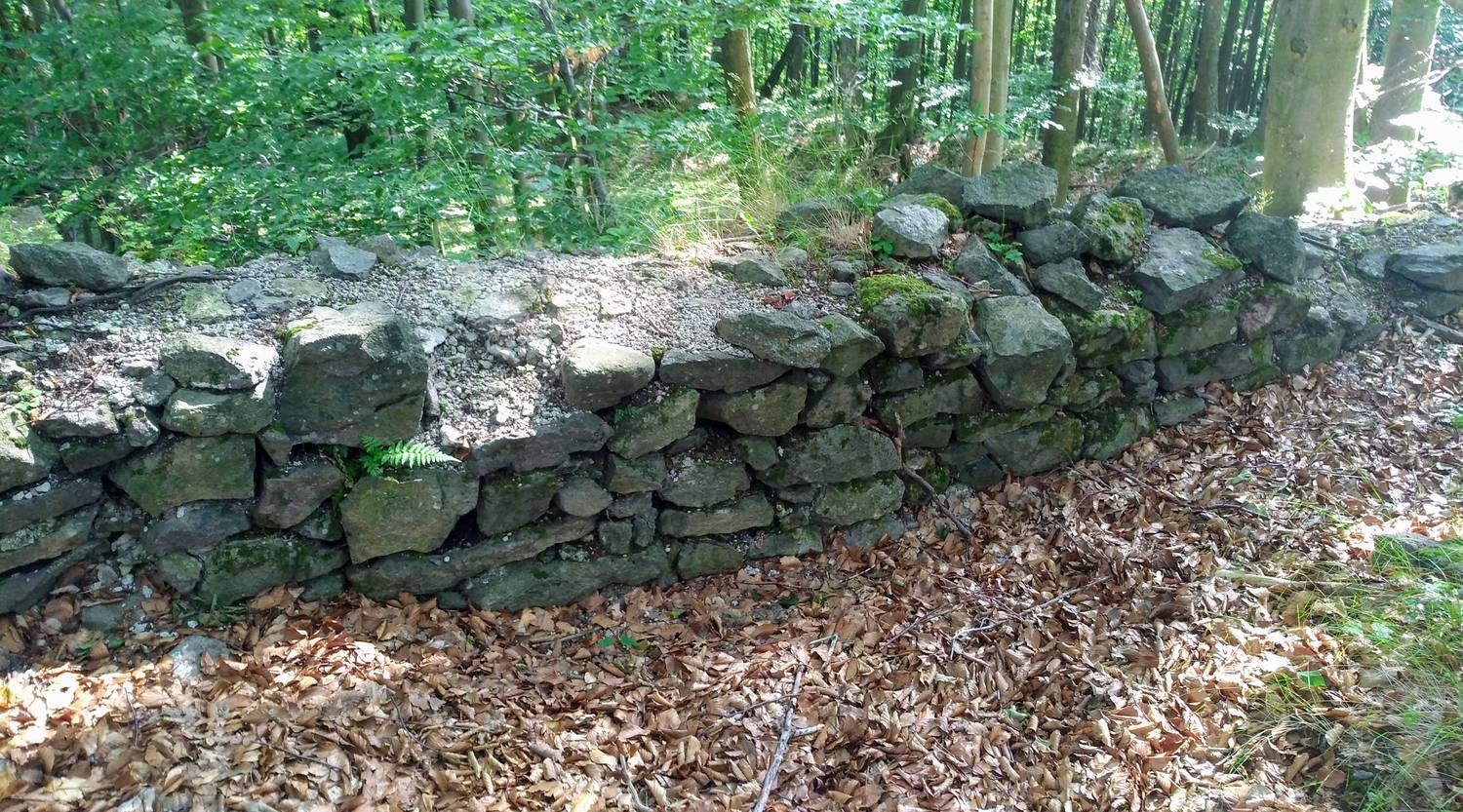 Hrad Braničev