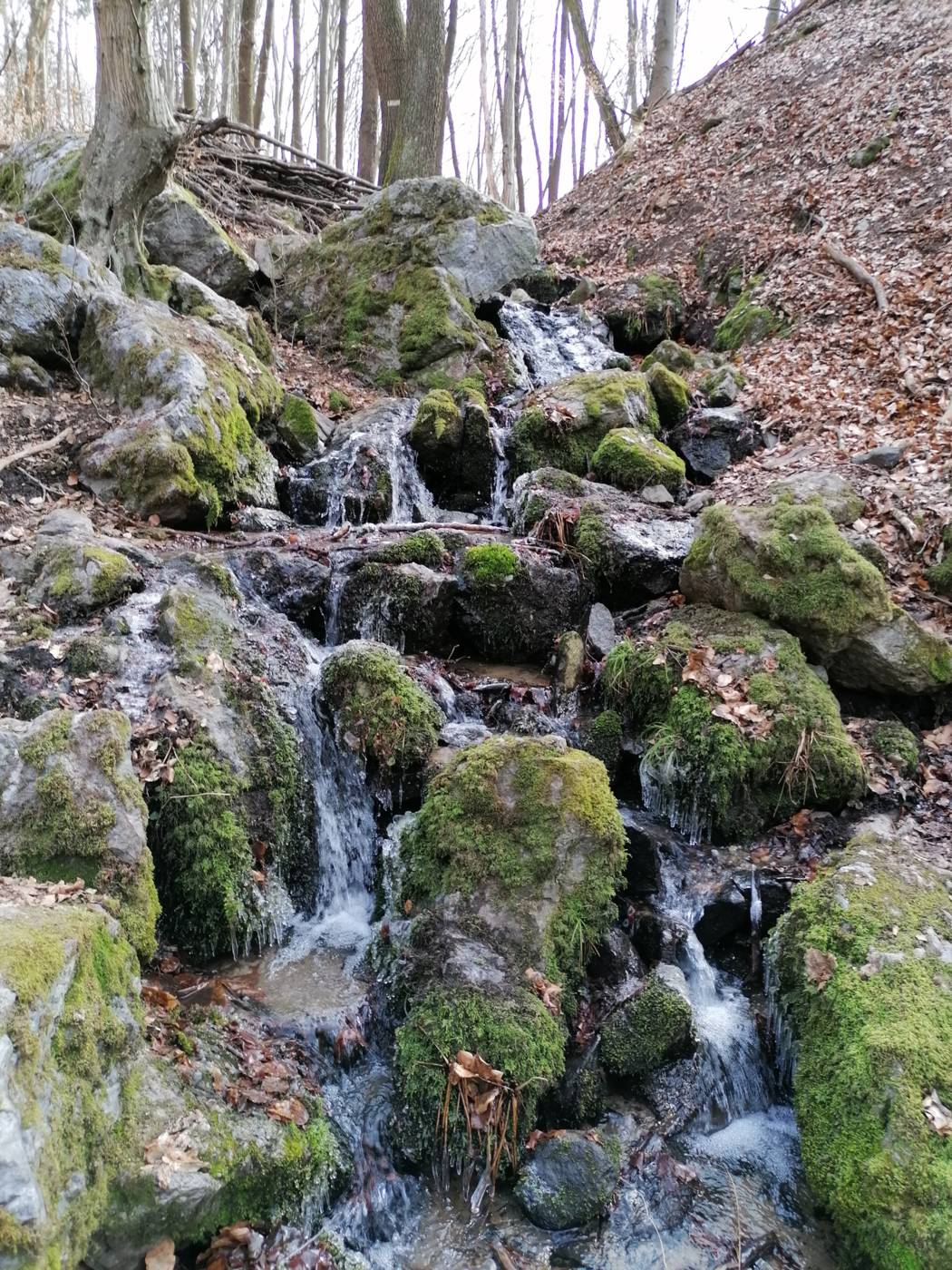 Vilmošove vodopády