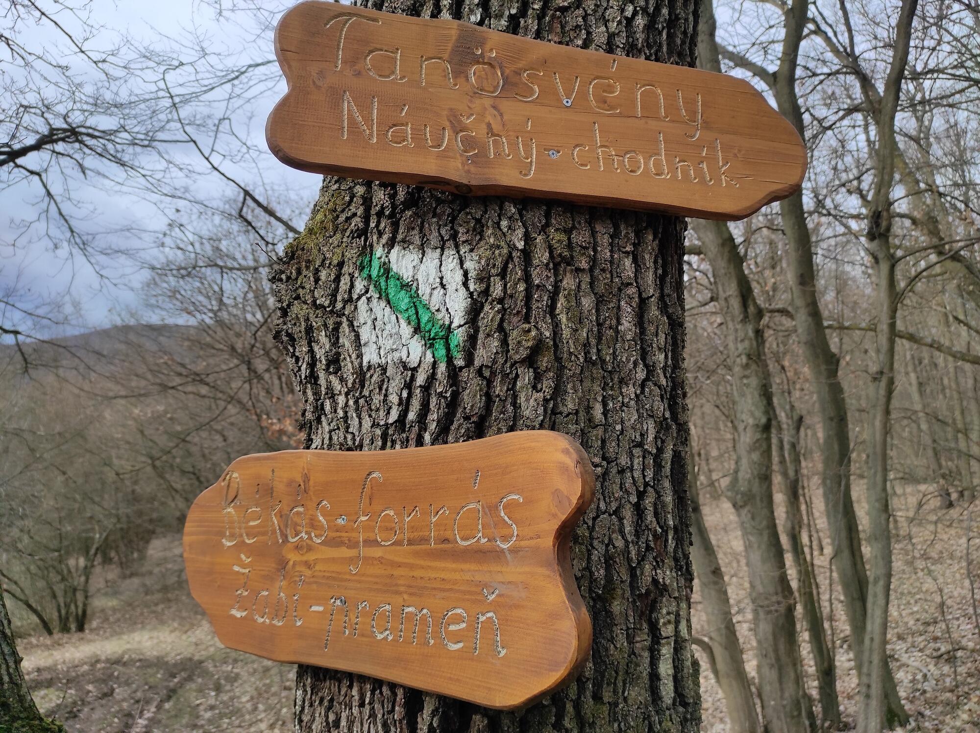 Žabí prameň