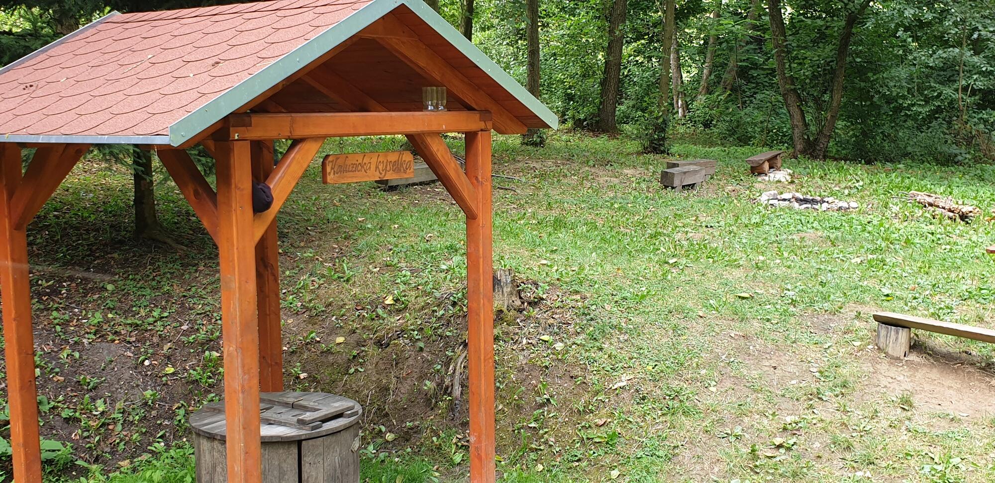 Haluzická kyselka