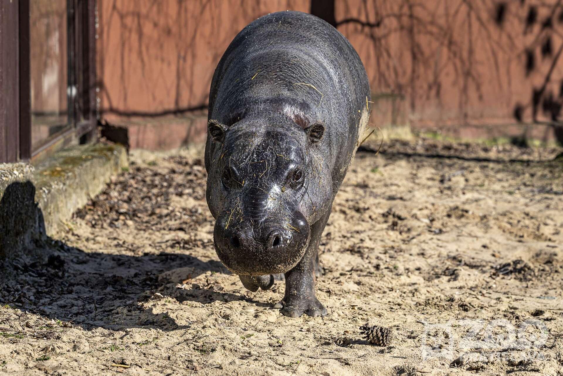 Zoo Bratislava