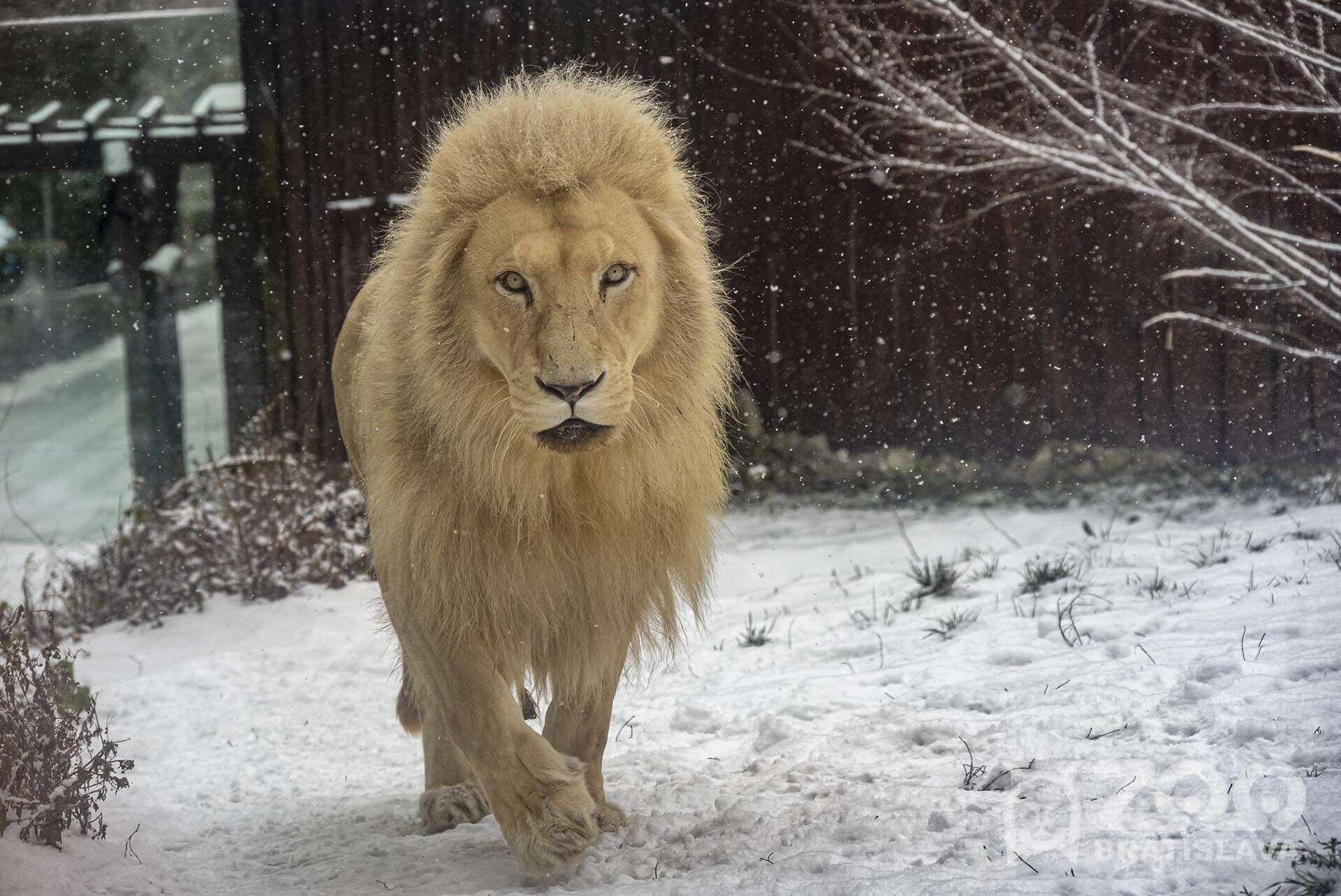 Zoo Bratislava