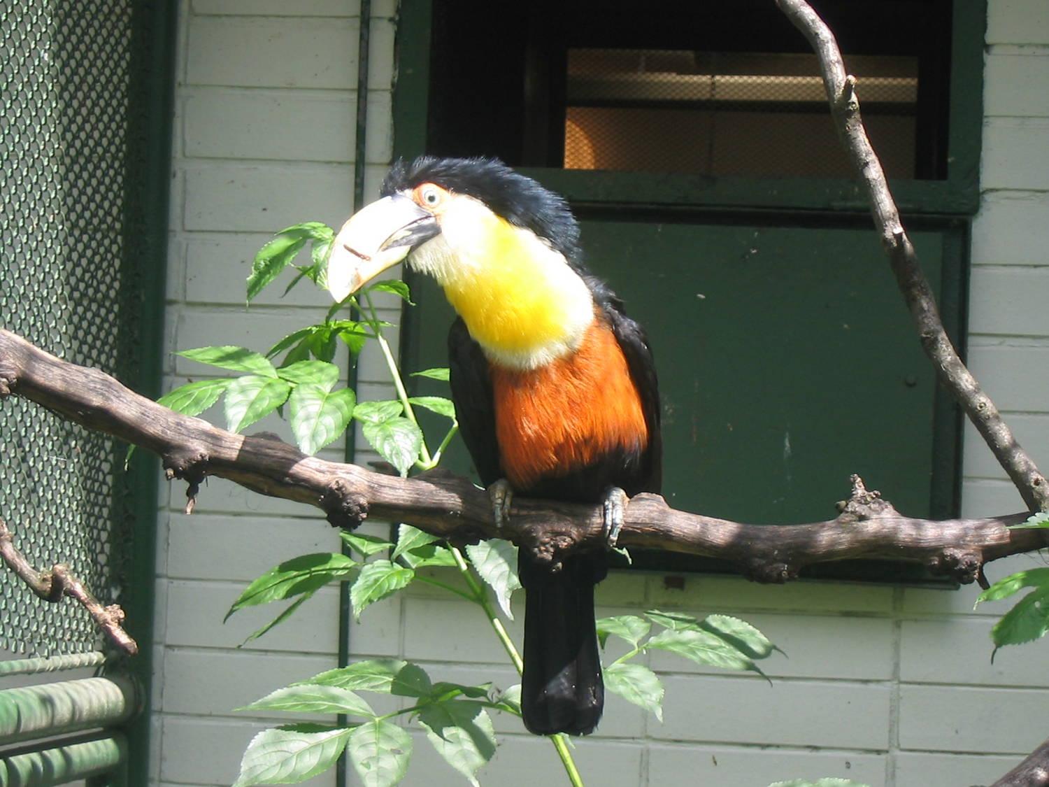 Zoo Bojnice