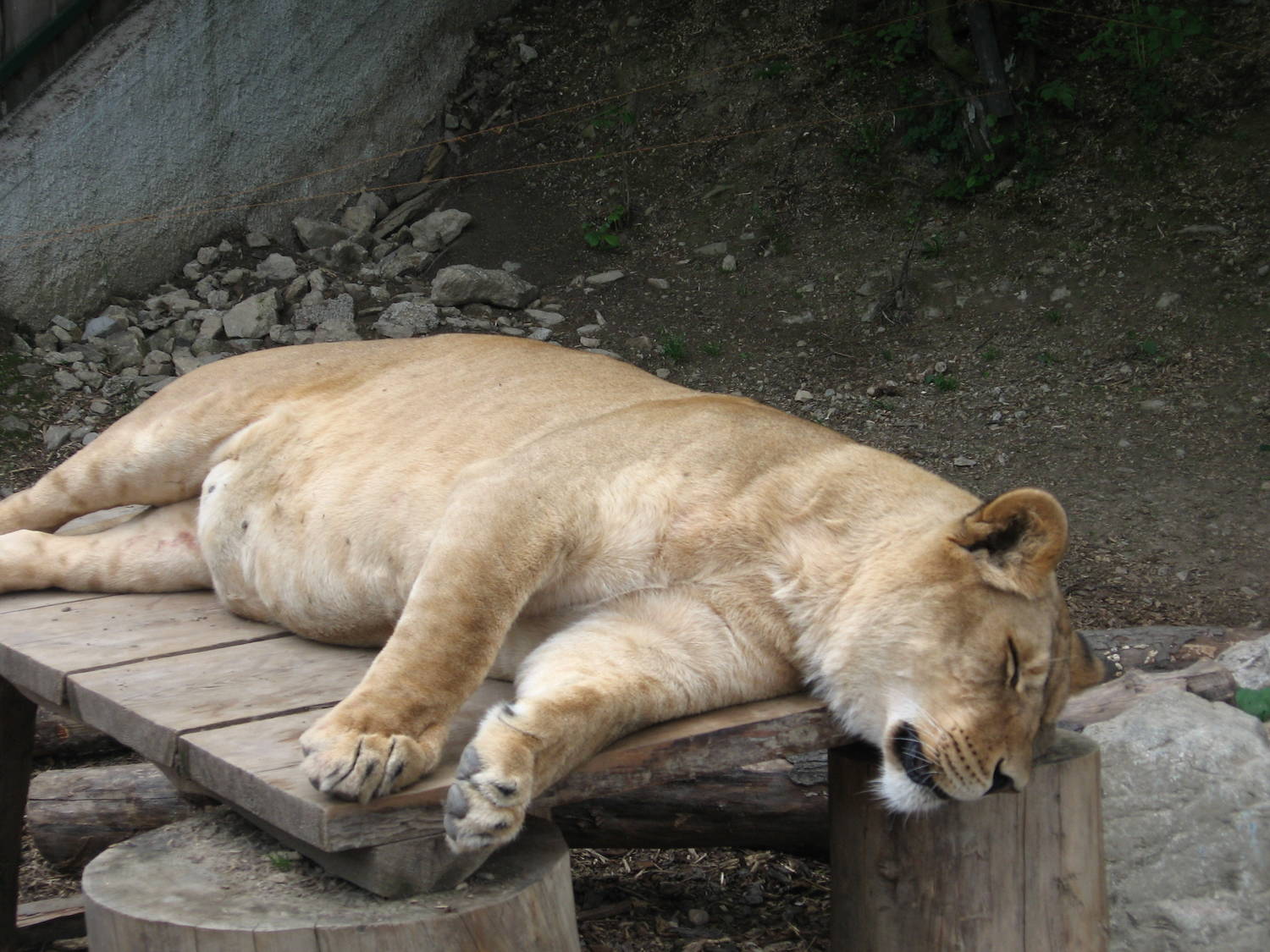 Zoo Košice