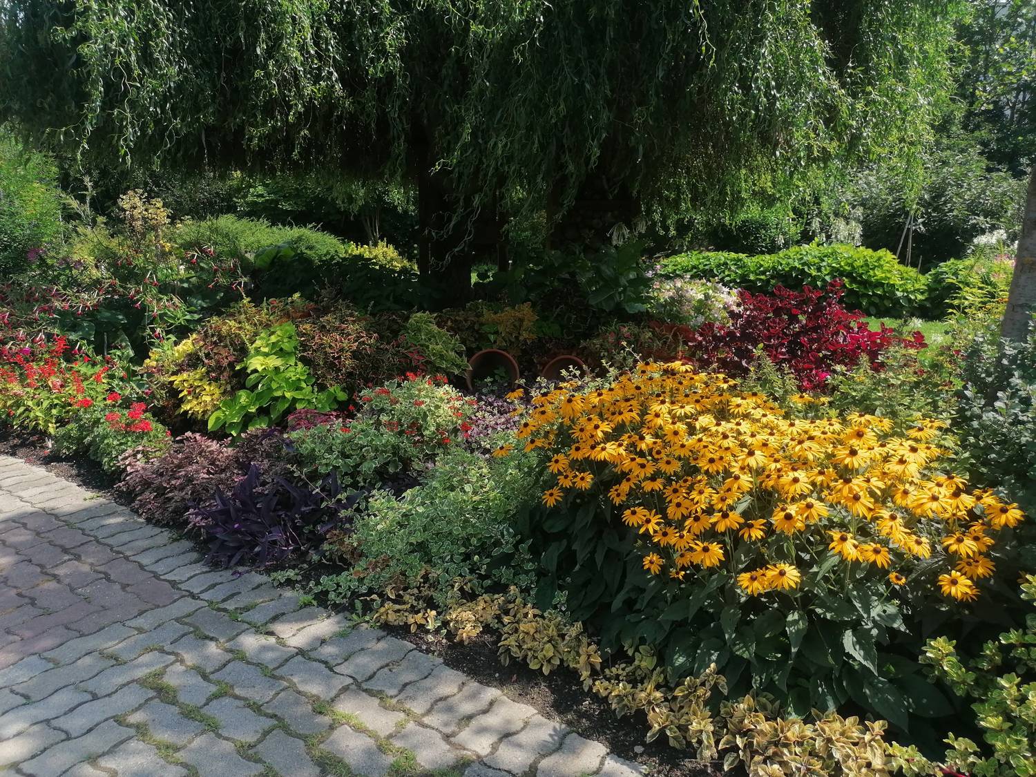 Botanická záhrada Univerzity Pavla Jozefa Šafárika