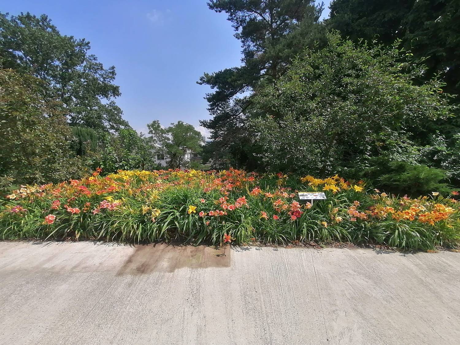 Botanická záhrada Univerzity Pavla Jozefa Šafárika