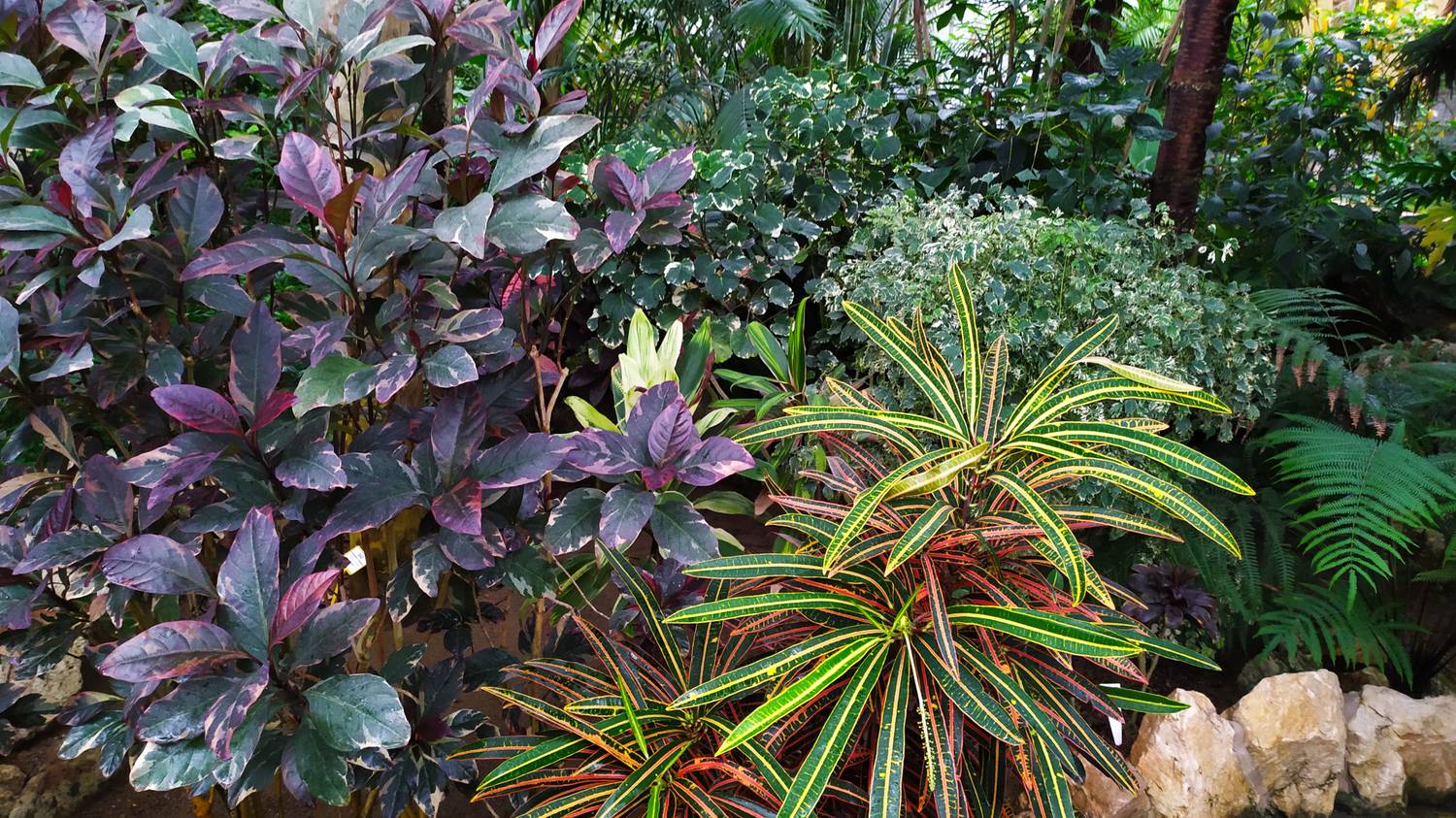 Botanická záhrada Univerzity Pavla Jozefa Šafárika