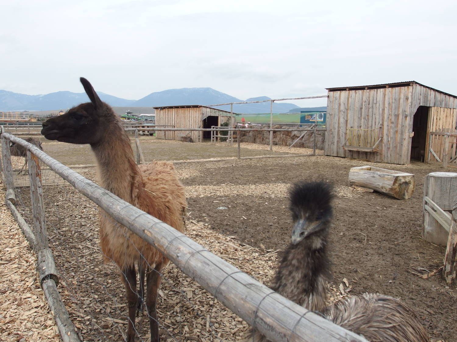 Zoo Kontakt