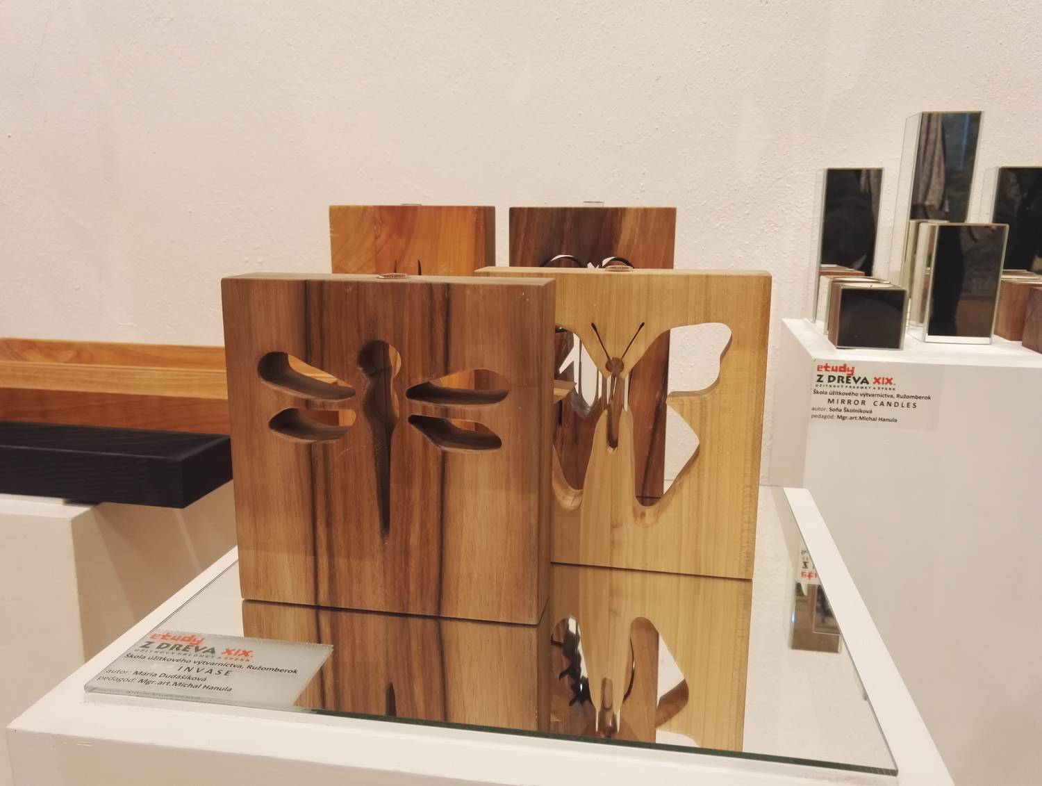 Lesnícke a drevárske múzeum